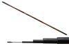 CARP EXPERT EVOLUTION POWER POLE 6M