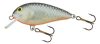 SALMO WOBBLER BUTCHER BR5F GT