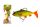 WIZARD SWIMBAIT PERCH 4 INCH  GREEN YELLOW