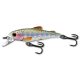 LIVETARGET TROUT JERKBAIT RAINBOW TROUT 50 MM 11G