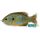 LIVETARGET SUNFISH WALKING BAIT NATURAL/BLUE PUMPKINSEED 75 MM 12 G