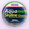  Aqua Skyline Green 300m 0.20mm 3.91kg